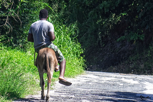 Lazy Boy Ride - Click Image to Close